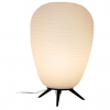Настольная лампа декоративная Arnia 805912