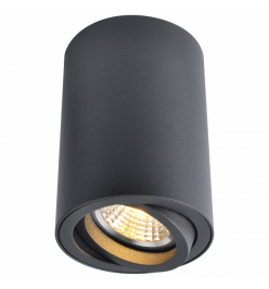 Накладной светильник Arte Lamp 1560 A1560PL-1BK