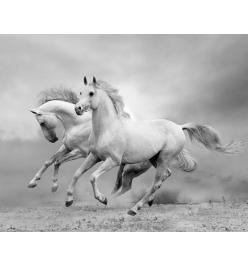 Картина (50х40 см) Белые лошади HE-101-523