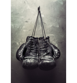 Картина (40х60 см) Бокс перчатки HE-101-629