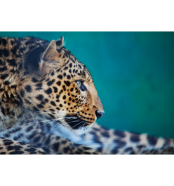 Картина (70х50 см) Leopard HE-101-879
