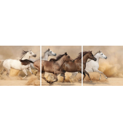 Картина (120x40 см) Лошади в пустыне HE-107-305