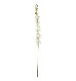 Цветок (110 см) Габитус 58005100