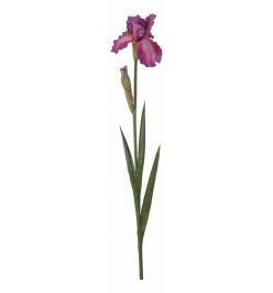 Цветок (80 см) Ирис 58016700
