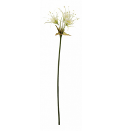 Цветок (80 см) Лилия кучерявая 58016900