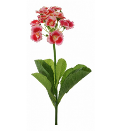 Цветок (40 см) Примула 58018400