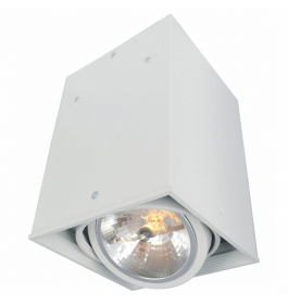 Накладной светильник Arte Lamp Cardani A5936PL-1WH